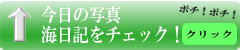 沖縄ダイビング日記